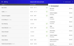 Salyersville National Bank screenshot 9