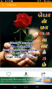 Tamil SMS & GIF Images/Videos screenshot 2