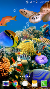 Ocean Fish Live Wallpaper screenshot 0