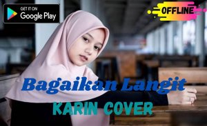 Bagaikan Langit - Karin Cover screenshot 3