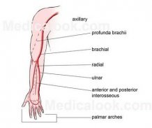 Body Reflexology Point screenshot 8