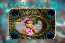 إطارات صور ريش الطاووس screenshot 0