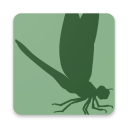 Insect Identifier Icon