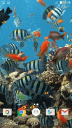 Aquarium Hintergrund screenshot 7