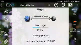 Moon & Garden screenshot 19