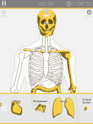 E. Learning Anatomy puzzle screenshot 2