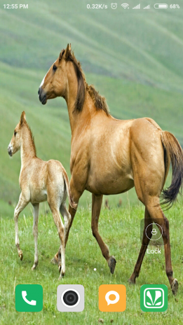 Hd Horse Wallpapers 102 Download Apk For Android Aptoide