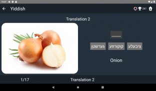 Yiddish Language Tests screenshot 19