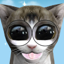 Googly Kitties Icon