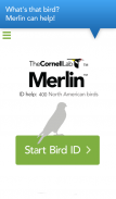 Merlin Bird ID por Cornell Lab of Ornithology screenshot 0