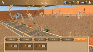 سباق الهجن 2024 screenshot 2