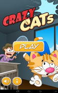 Crazy Cats screenshot 7