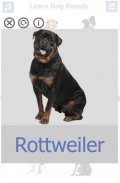 Dog Breeds | Golden Retriever | Rottweiler screenshot 2