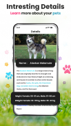 Dog Breed Identifier Photo Cam screenshot 4