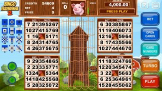 Video Bingo Little Farm 2 screenshot 1