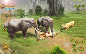 Lion Simulator Attack 3d Game screenshot 2