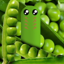 Mr.Pea