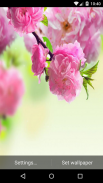 Spring Live Wallpaper HD screenshot 1