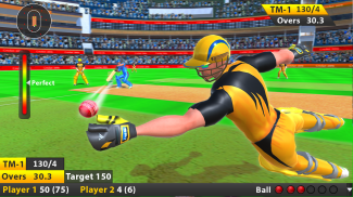 Indian Cricket League Game - T20 Cricket 2020 screenshot 3