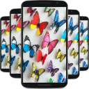 Butterfly Wallpapers Icon