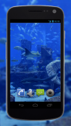 4K Aquarium Tank Video Live Wallpaper screenshot 3