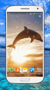 Dolphin Live Wallpaper HD screenshot 4