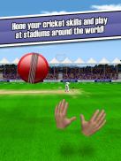 New Star Cricket screenshot 7