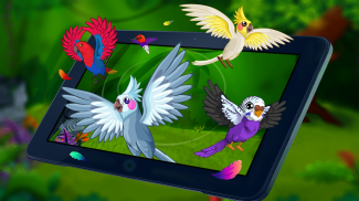 Bird Land : Jeu animalerie & Jouer avec le Oiseau screenshot 9