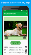 DoggyApp - Identify Dog Breeds screenshot 8