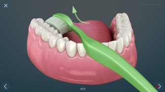 Dental 3D Illustrations screenshot 0