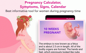 Pregnancy calculator, symptoms screenshot 5
