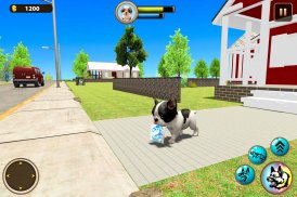 Dog Family Simulator Game: Life of Dog screenshot 11