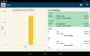 Diabetes Pal screenshot 2