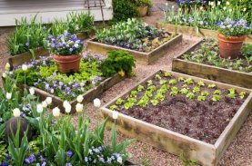 Raised garden bed screenshot 9