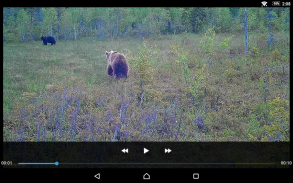 Seneram - Cloud service for trail cameras screenshot 8