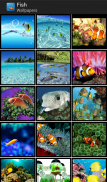 Fish - HD Wallpapers screenshot 6