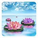 Lotus Live Wallpaper Icon