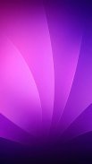 Purple Wallpaper screenshot 6