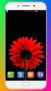 Flower Wallpaper HD screenshot 4