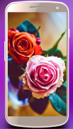 Roses live wallpaper. Beautiful roses for girls screenshot 2