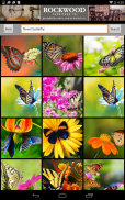 Butterfly Flower for DoodleTex screenshot 3