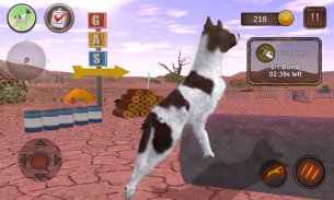 Greman Shorthaired Pointer screenshot 3