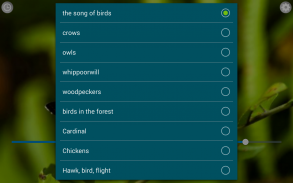 Uccelli chiamate Suoni screenshot 5