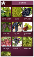 Grape Kannada screenshot 1