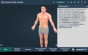 Menselijk lichaam 3D screenshot 7