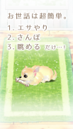 癒しの子犬育成ゲーム〜チワワ編〜 screenshot 11