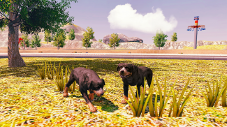 Rottweiler Dog Simulator screenshot 11