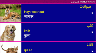 Learn Arabic From Hindi screenshot 1