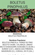 GUIA DE SETAS: BOLETUS screenshot 2