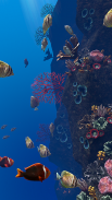 Ocean Aquarium screenshot 12